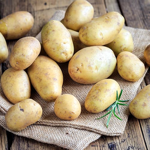 Vetőburgonya Marabel kép 1 termék 5683