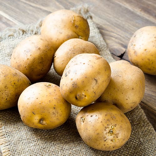 Vetőburgonya Primabelle kép 1 termék 4828