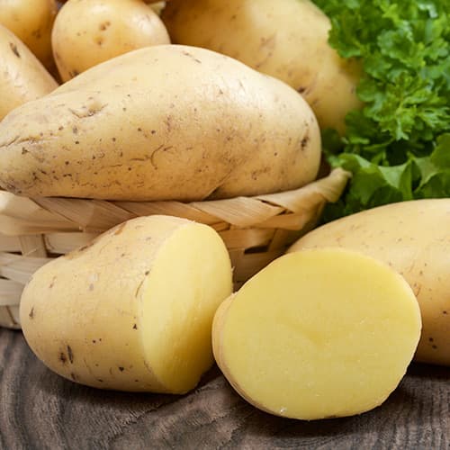 Vetőburgonya Rashida termék fotó 1 Vetőburgonya Rashida kép 1 termék 4829