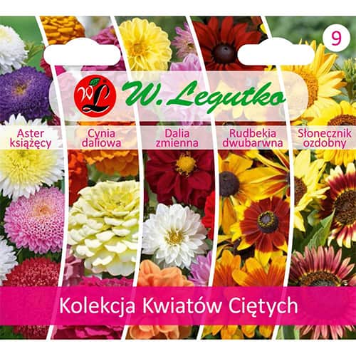 Virágok vágáshoz, 5 fajtát tartalmazó csomag termék fotó 1 Virágok vágáshoz, 5 fajtát tartalmazó csomag kép 1 termék 96789