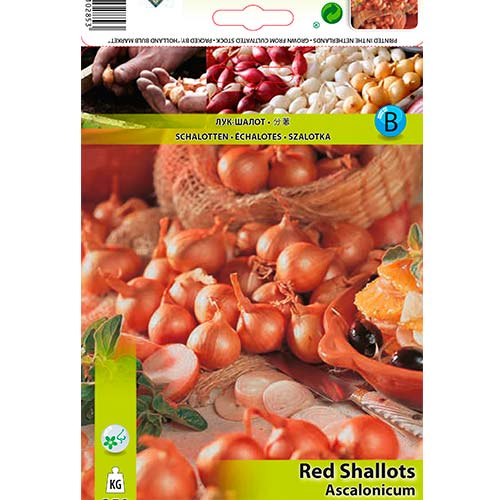 Vörös mogyoróhagyma kép 1 termék 70499