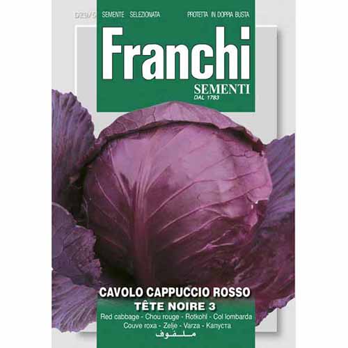 Vöröskáposzta Tete Noire 3 kép 1 termék 87194