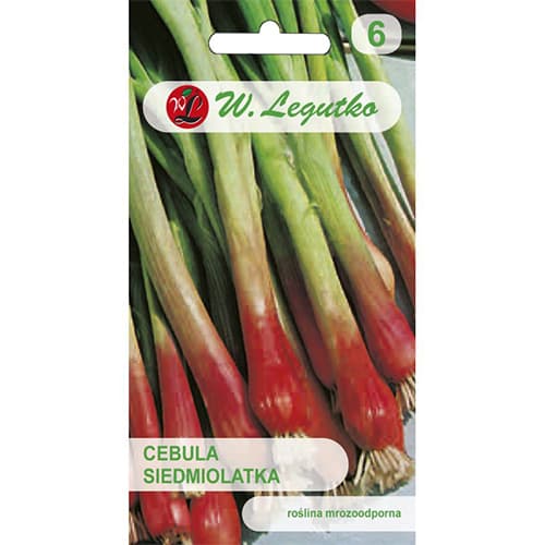 Zöldhagyma Red Toga kép 1 termék 78452