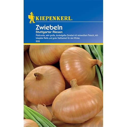 Zöldhagyma Stuttgarter Riesen Kiepenkerl kép 1 termék 50077