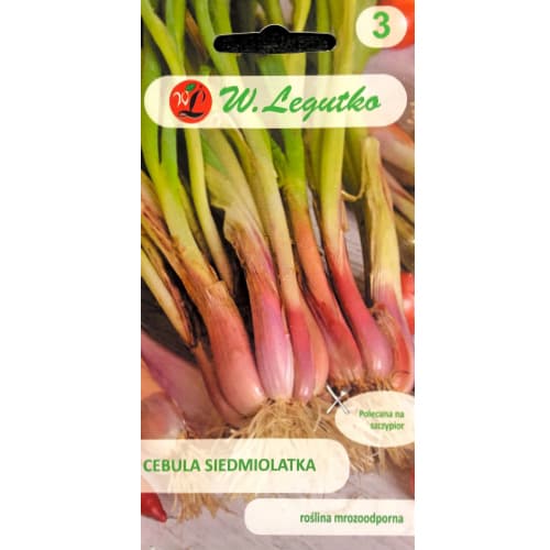 Zöldhagyma Winter Nest kép 1 termék 78451