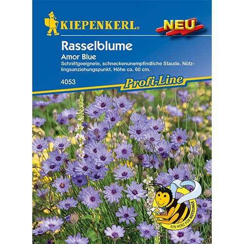 Zörgővirág Amor Blue kép 1 termék 87757