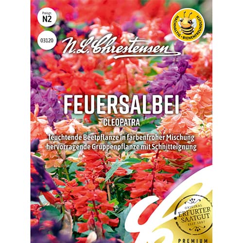 Zsálya Cleopatra, színkeverék kép 1 termék 86150