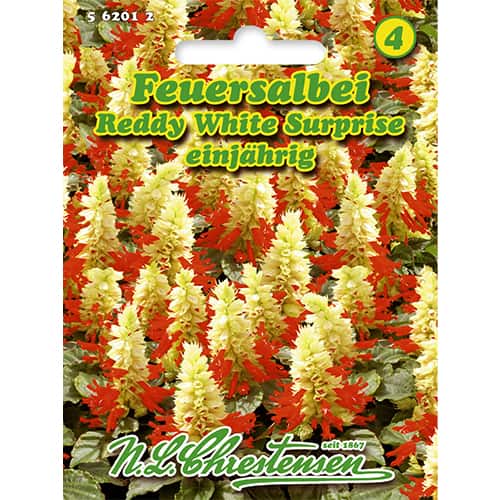 Zsálya Reddy White Surprise termék fotó 1 Zsálya Reddy White Surprise kép 1 termék 86185