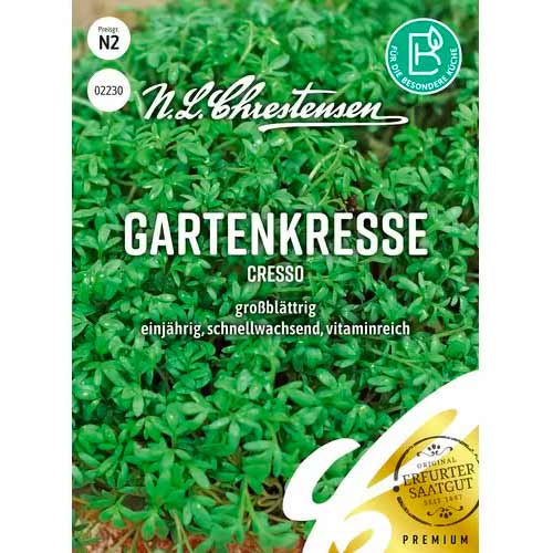 Zsázsa Cresso Chrestensen kép 1 termék 50045