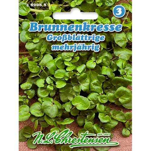 Zsázsa kerti Chrestensen kép 1 termék 50041