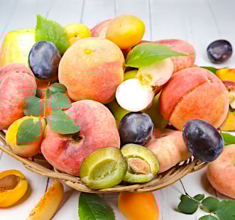 Oszlopos gyümölcsfák