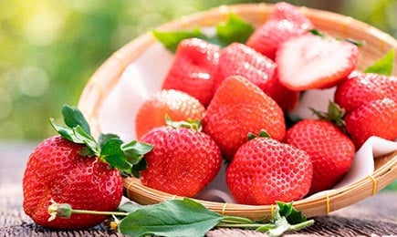 Lédús édesség | GradinaMax