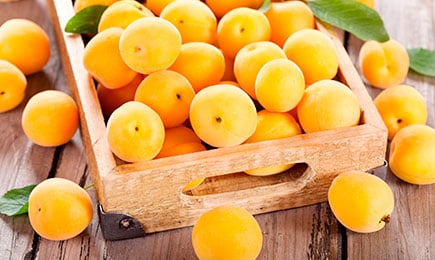 Édes, húsos, sok | GradinaMax