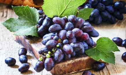 Gazdag íz | GradinaMax