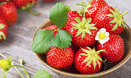 Lédús édesség | GradinaMax