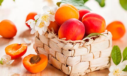 Minden ínyenc álma | GradinaMax