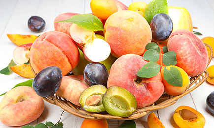 Mini gyümölcsös kerttel terasszal | GradinaMax