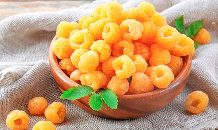 Édes gyümölcsök | GradinaMax