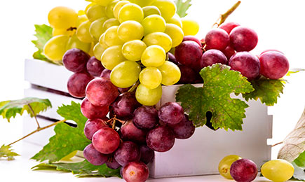 Saját szőlőskert | GradinaMax