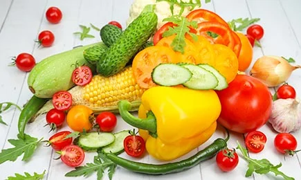 Szezonális újdonságok | GradinaMax