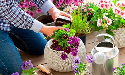 Virágárzuhanás | GradinaMax